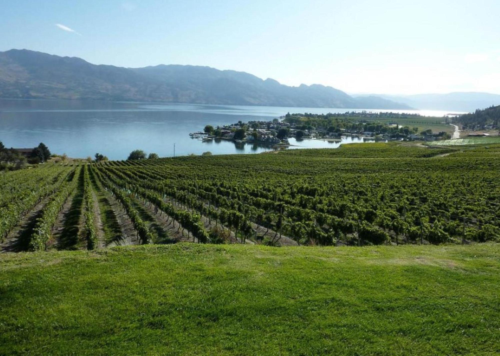 Holiday Inn Hotel & Suites Osoyoos By Ihg Экстерьер фото